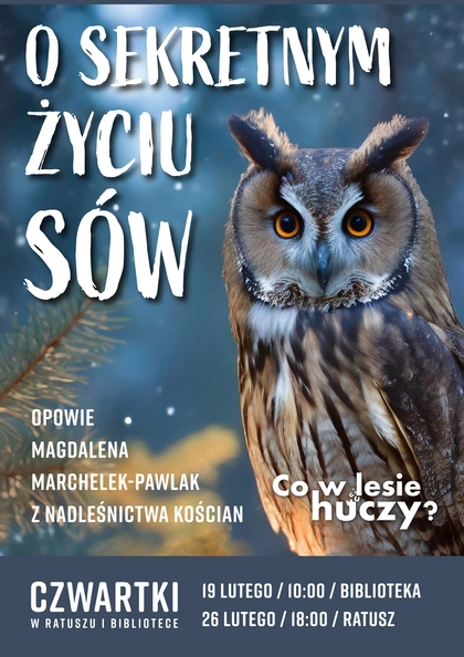 O sekretnym życiu sów