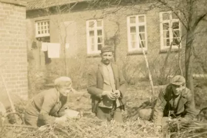 Pierwsza od lewej: Felicja Mocek (wybieranie ziemniaków) 