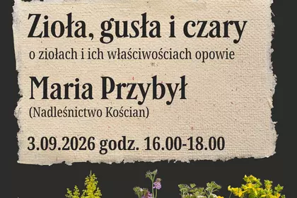 Zioła, gusła i czary